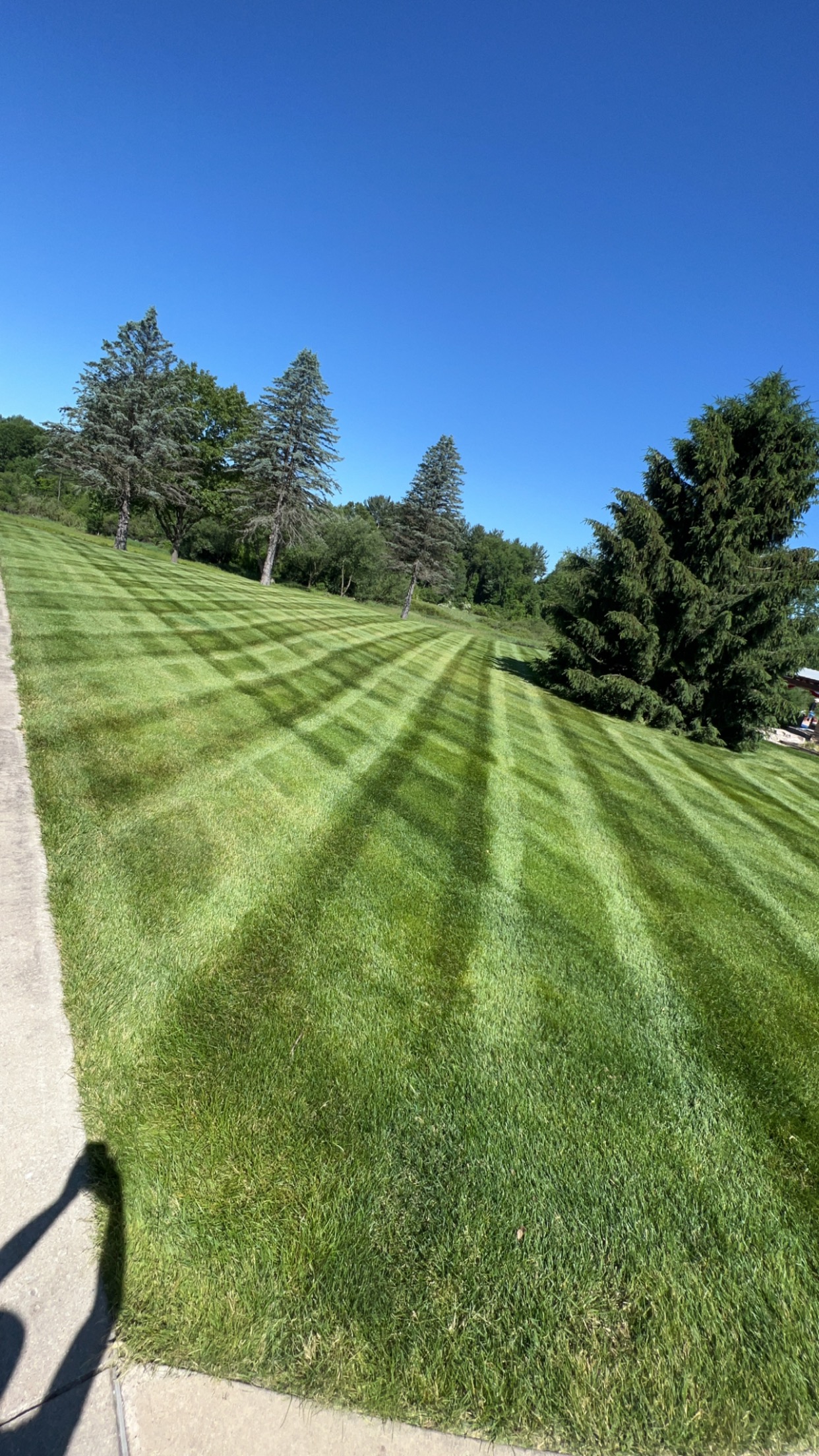 Freshly mowed sloped lawn with an alternating striped pattern
